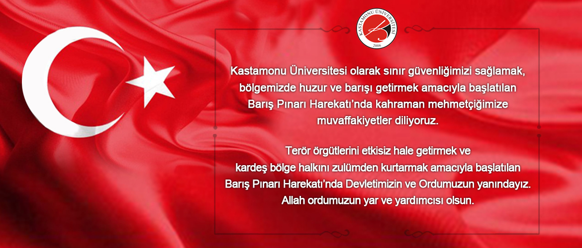 Barış Pınarı Harekatı
